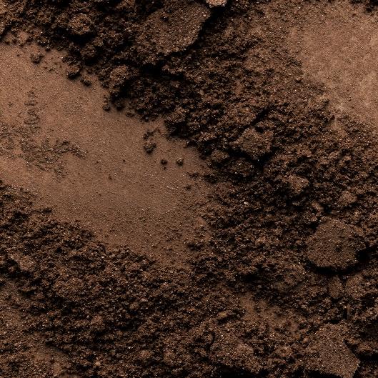 Brow + Korean Lash Combo Package